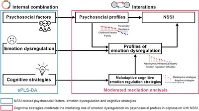 Maladaptive cognitive regulation moderates the mediating role of emotion dysregulation on the association between psychosocial factors and non-suicidal self-injury in depression